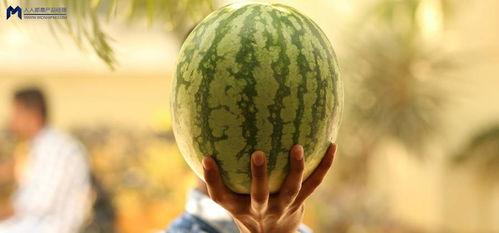 娱乐吃瓜大事件,揭秘年度最热吃瓜大事件