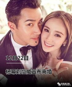 吃瓜娱乐圈离婚,瓜分爱情，揭秘明星婚姻真相